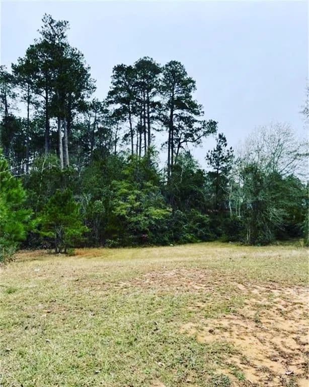 Lots & Land-Other in Pineville