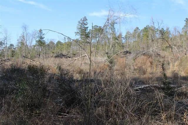 Land -Agricultural (Not Zoned) in Rusk - Rusk, Texas, 75785