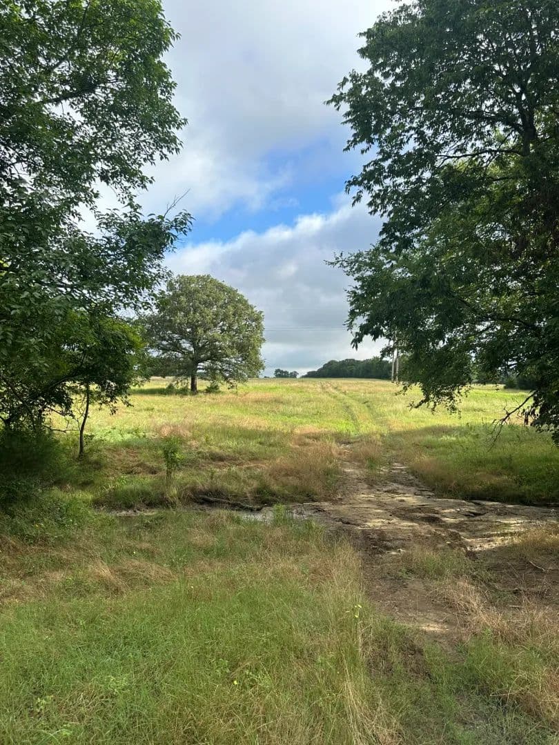 Blank Canvas of 55.9 acres just outside Bokchito, OK!