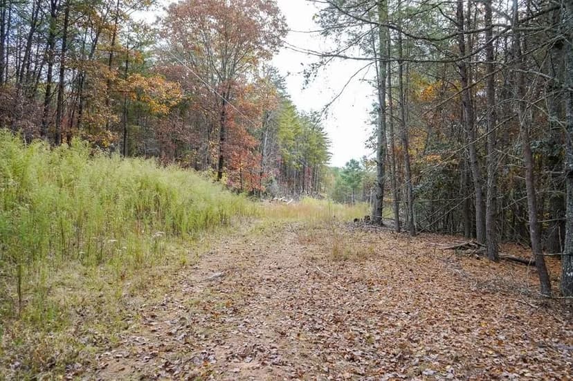 Lots & Land-Other in Blairsville