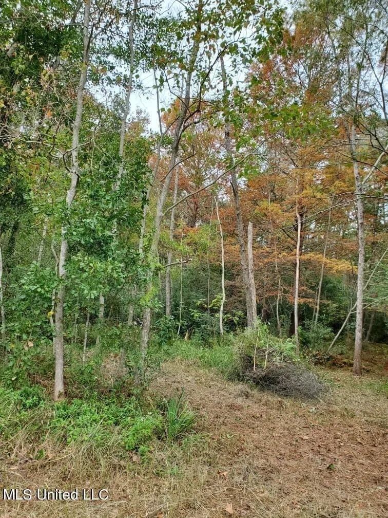 Lots & Land-Other in Gautier