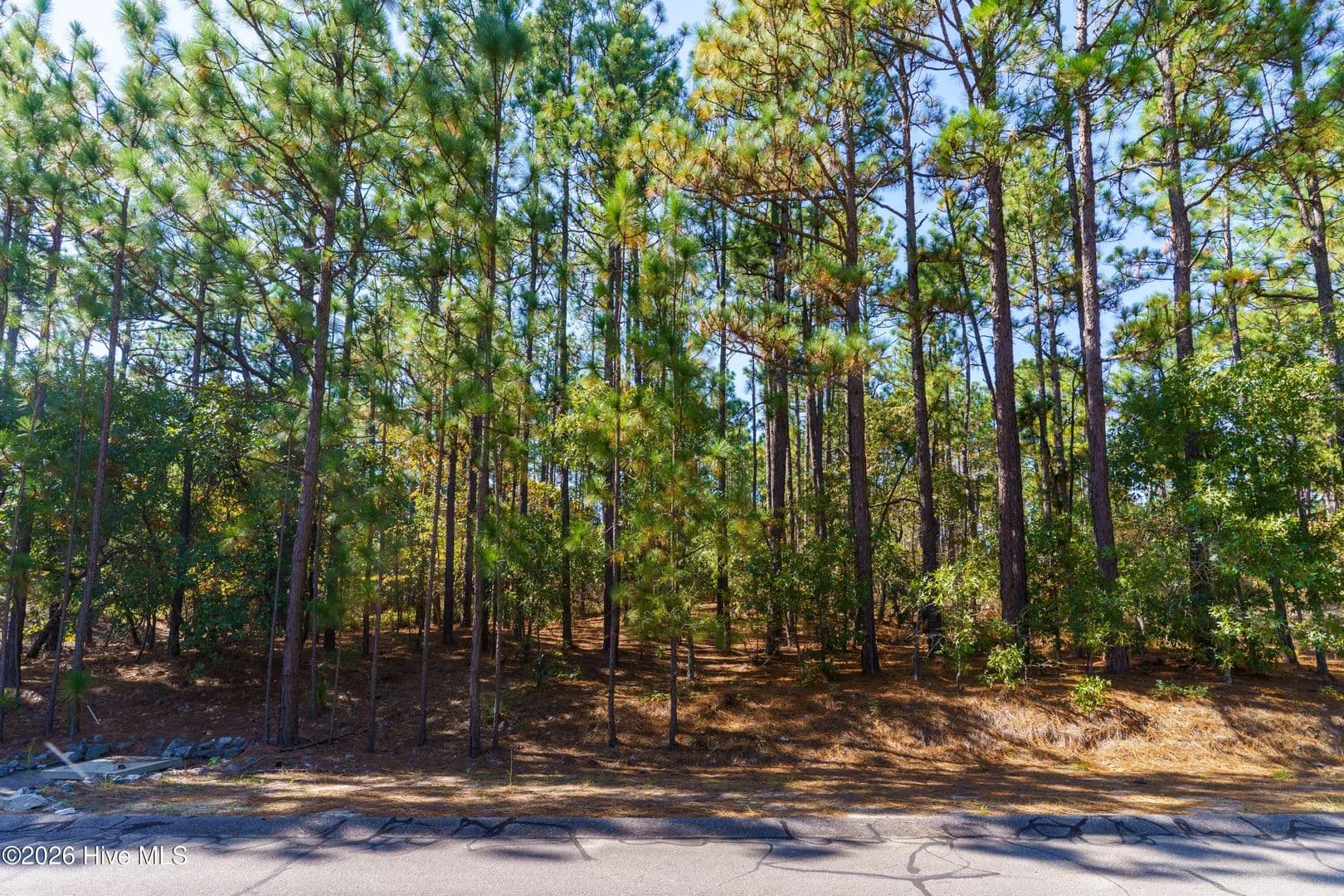 Vacant Land in West End - West End, North Carolina, 27376