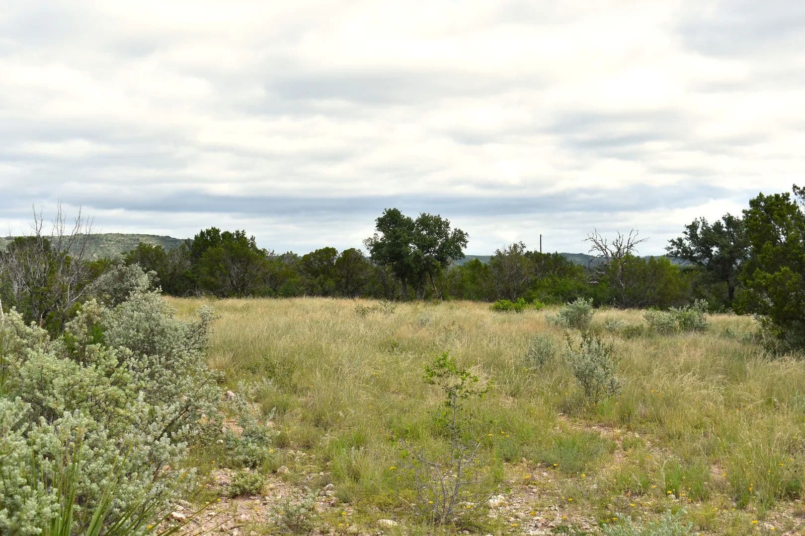 18.75 ACRES LONDON AREA - Junction, Texas, 76849