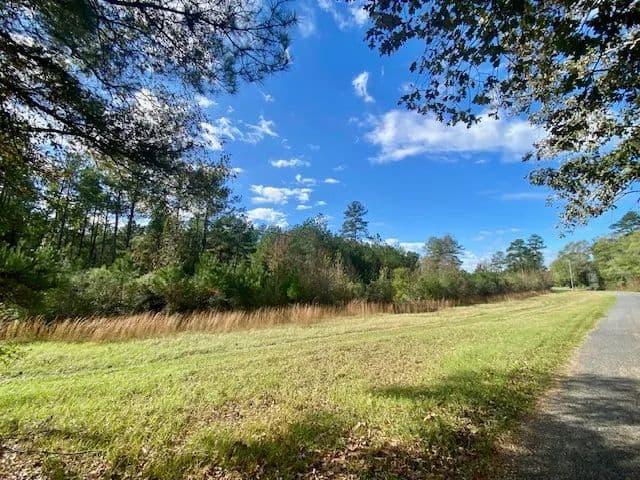 18.94 Acres on Gill Rd | Brookhaven, MS