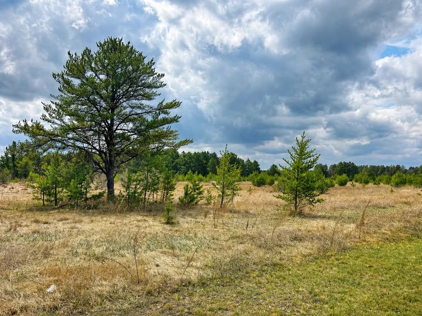 Vacant Land in Park Rapids