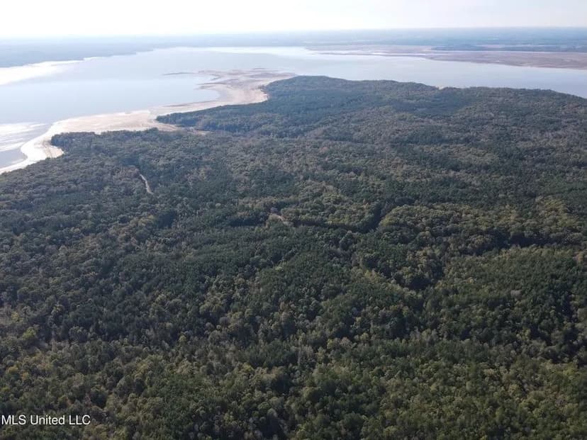 Carver Point Timber Tract in Grenada Co at Grenada Lake 