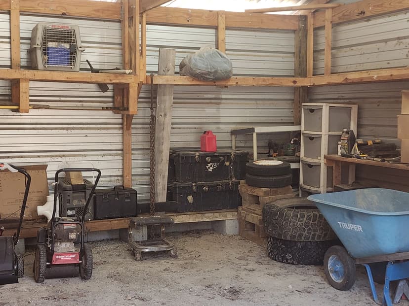 Woods near Sardis Lake