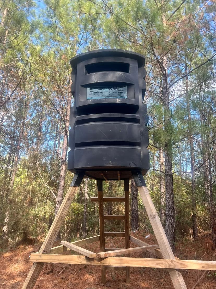 212 Acres in Amite County, MS 