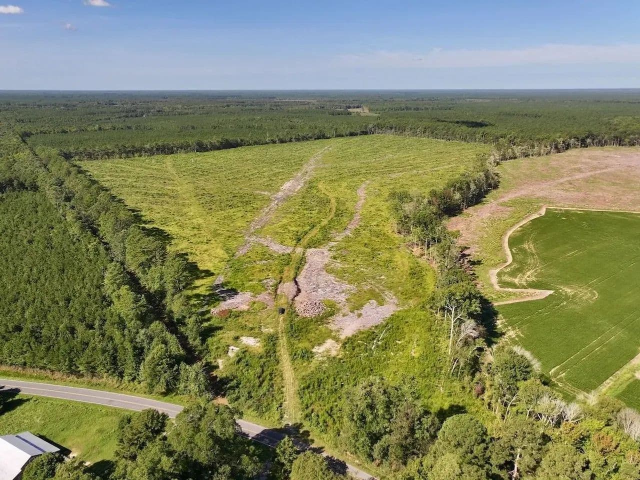 96.86 Acres of Timberland & Hunting Land for Sale in Gates County, NC! - Gates, North Carolina, 27937