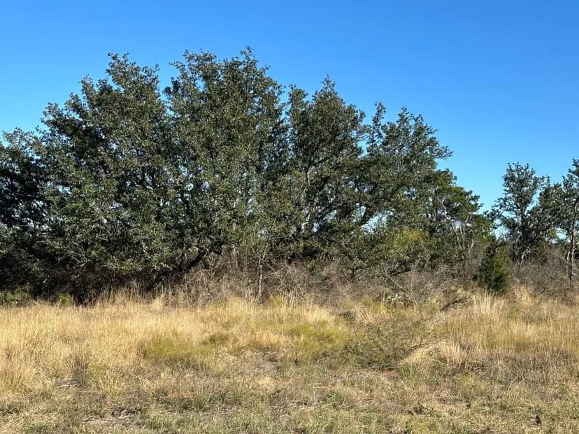 103 +/- Acres....Oaks, Elevation, Hunting, Paved access, Homesites