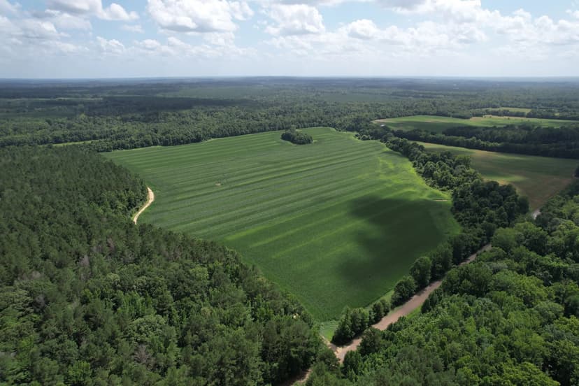 202.43 Acres in Attala County, MS