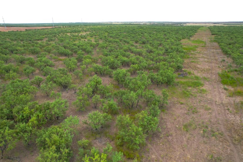 Under Contract!! 96.48 Acres, Jones County