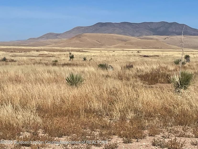 Lots & Land-Other in Carrizozo