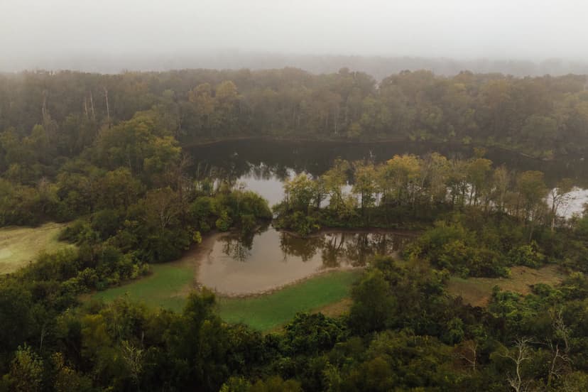 141.99 Acres with a cabin on Lake Albemarle in Issaquena County, MS