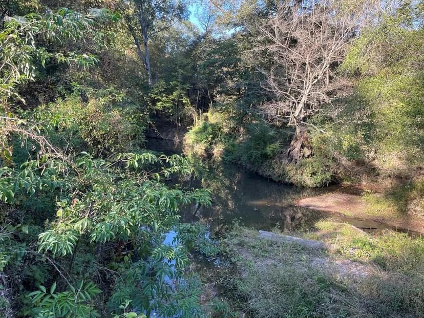 Amite River Hunting Tract For Sale