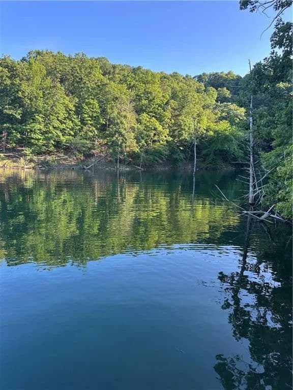 Vacant Land (10+ Acres) in Eureka Springs - Eureka Springs, Arkansas, 72632