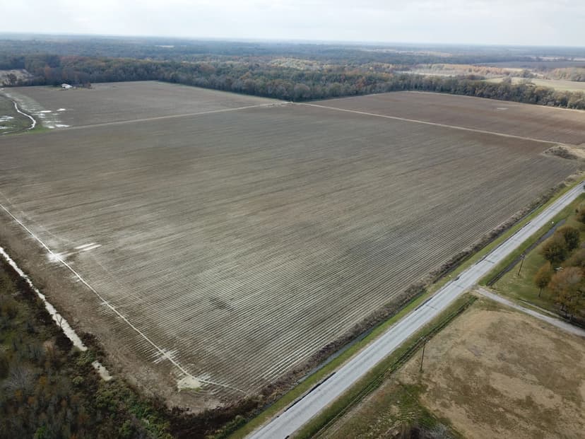 LA - Richland 40 acres +/-