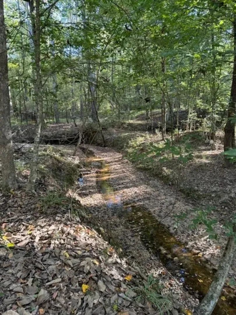 Claiborne County Recreational Land and Hunting Tract