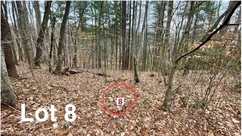 Vacant Land in Stuart - Stuart, Virginia, 24171