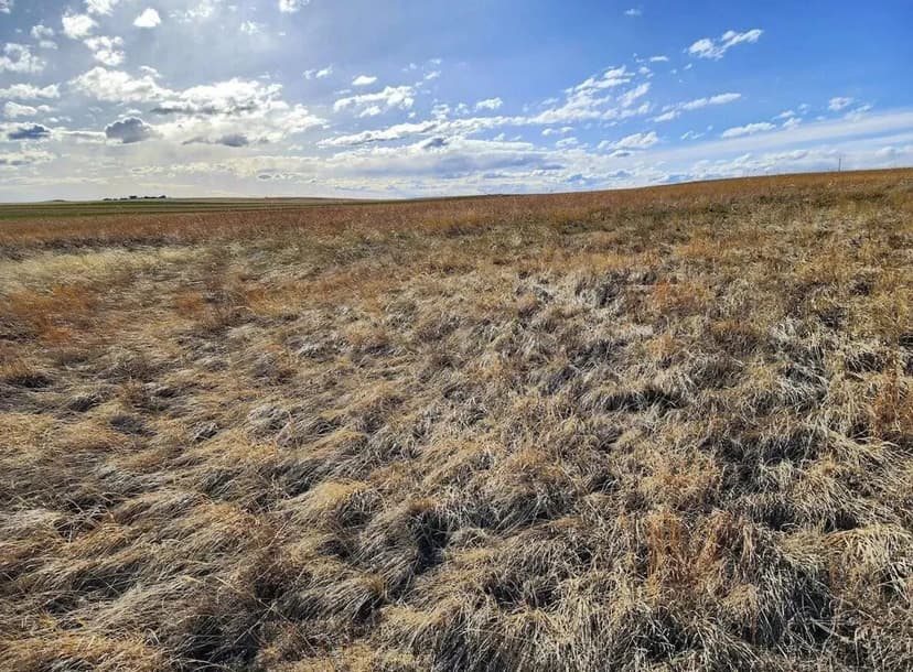 Investment CRP or Potential Building Site