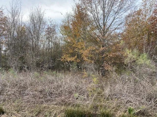 LA - Richland 21 acres +/-