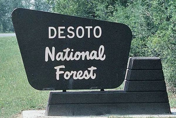 Two 16 Acre Tracts in Wayne County, MS