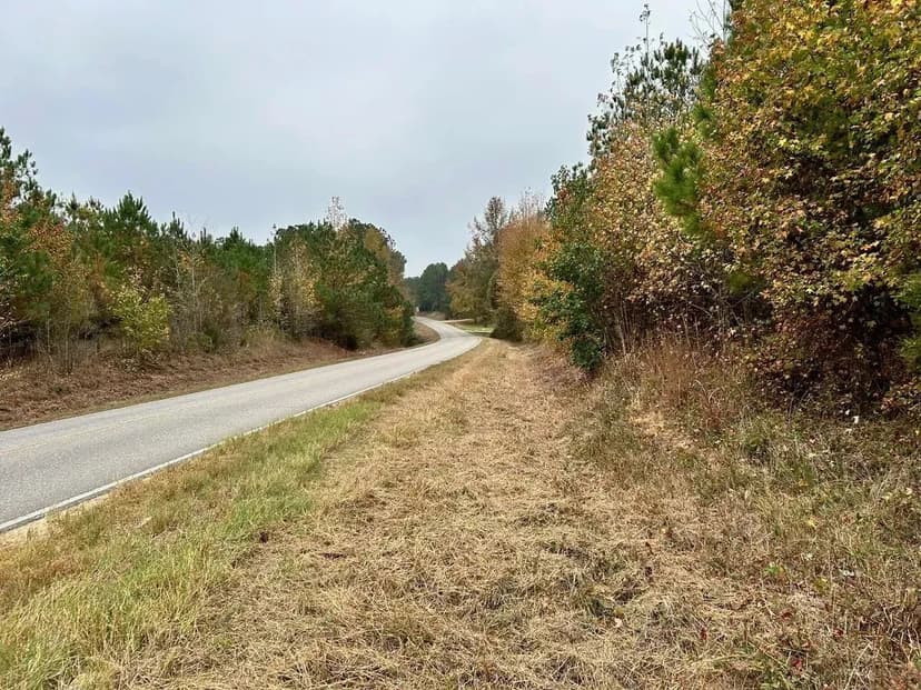 PRICE ADJUSTMENT!  +/- 91 Acres Vernon Alabama