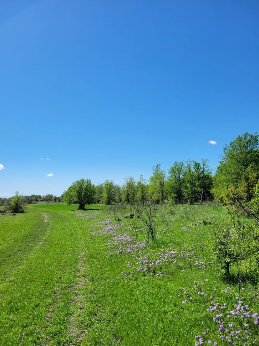 85 +/- Acres Brown County