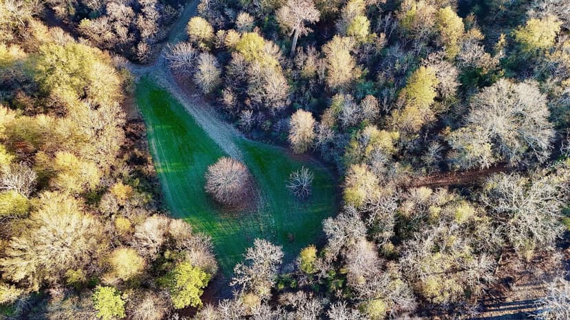 Duck and Deer Hunting Property for Sale in Grant Parish, LA