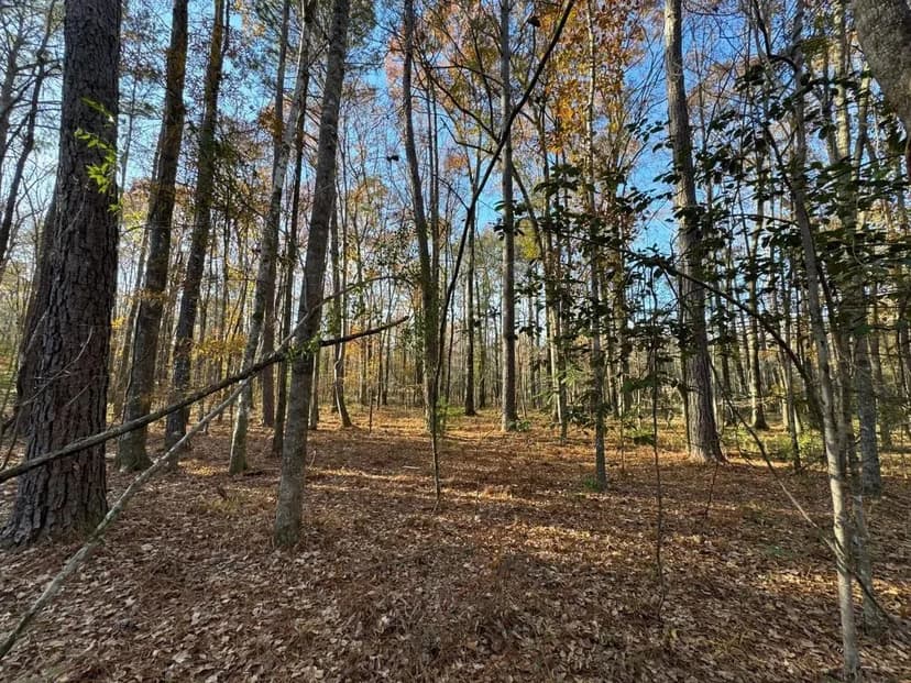 Peaceful homesite minutes from town Redland School District (Lot 1)