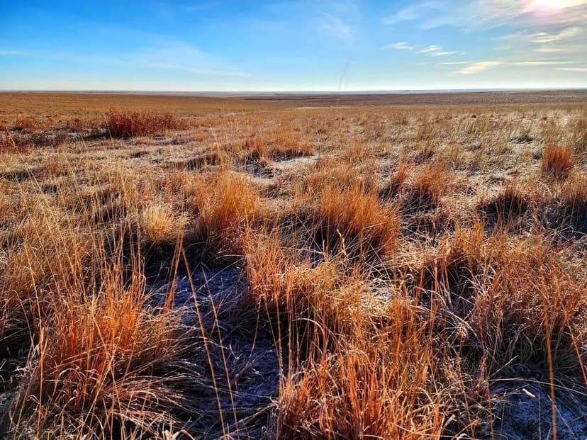 Large Parcel of CRP with Close Proximity to Denver Metro