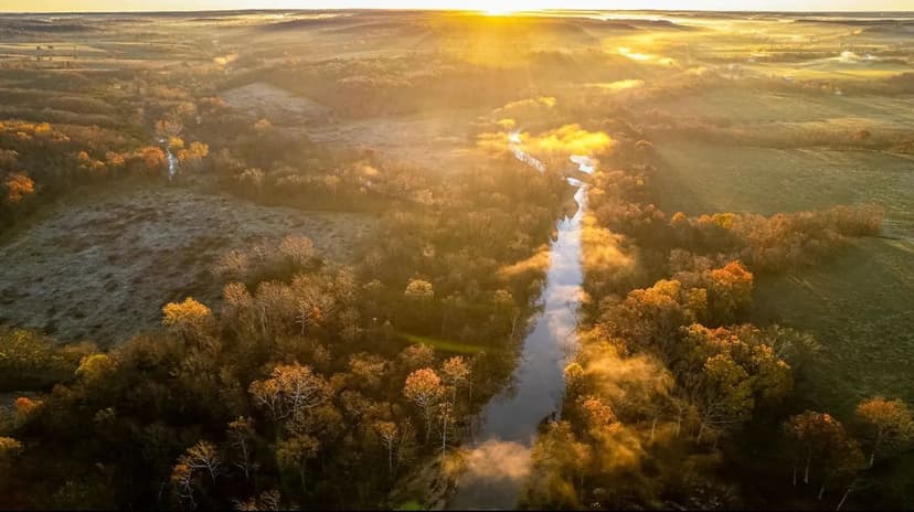 Working Cattle Farm With Live Water, Infrastructure And Recreational Opportunities Near Springfield And Marshfield