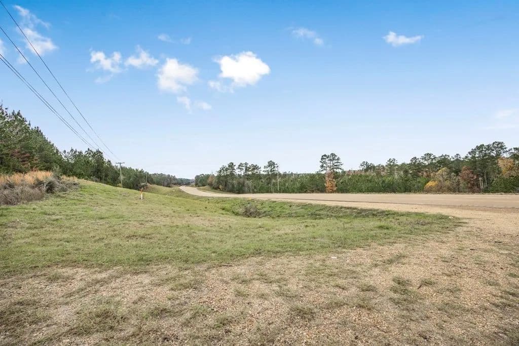 46+- Acres Connected to Homochitto Forest for Sale in Gloster, Mississippi - photo 11
