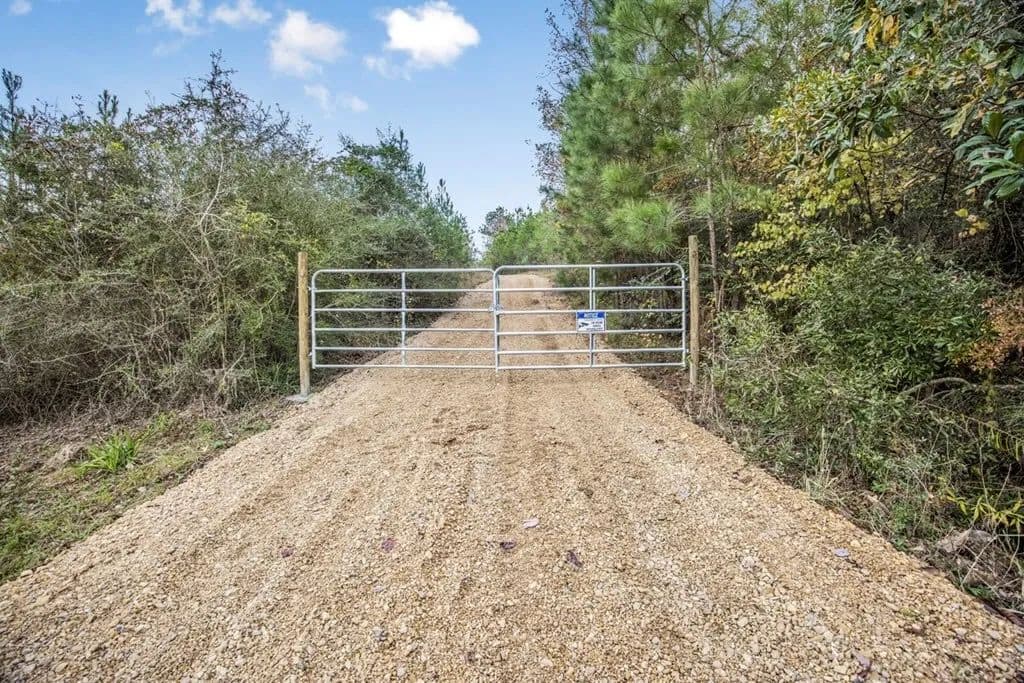 46+- Acres Connected to Homochitto Forest for Sale in Gloster, Mississippi - photo 12