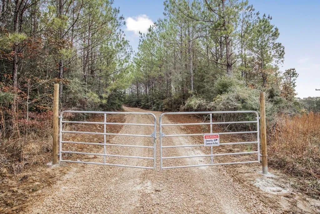46+- Acres Connected to Homochitto Forest for Sale in Gloster, Mississippi - photo 13