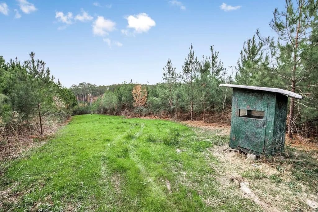 46+- Acres Connected to Homochitto Forest for Sale in Gloster, Mississippi - photo 14