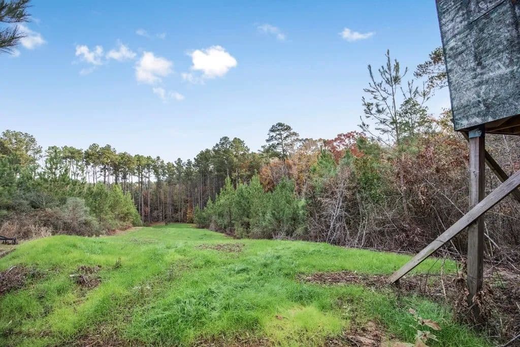 46+- Acres Connected to Homochitto Forest for Sale in Gloster, Mississippi - photo 9