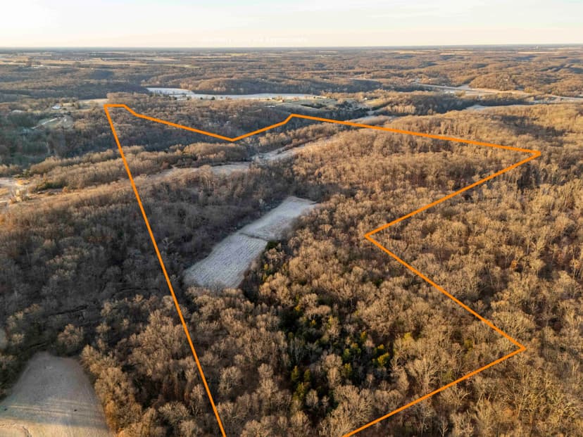 72± Acre Recreational or Hunting Tract for Sale – Pike County