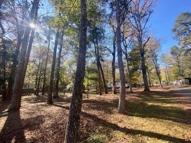 .69 acres with Bogue Chitto River Access | McComb, MS