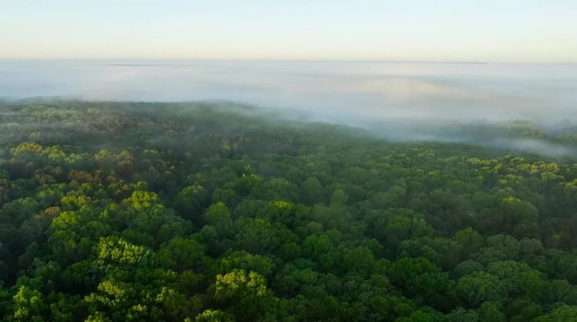 Large Recreational Tract With A Home In The Heart Of The Ozarks