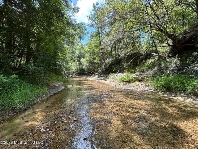 8± Acres in McCall Creek, MS with Creek Frontage - Brookhaven, Mississippi, 39601