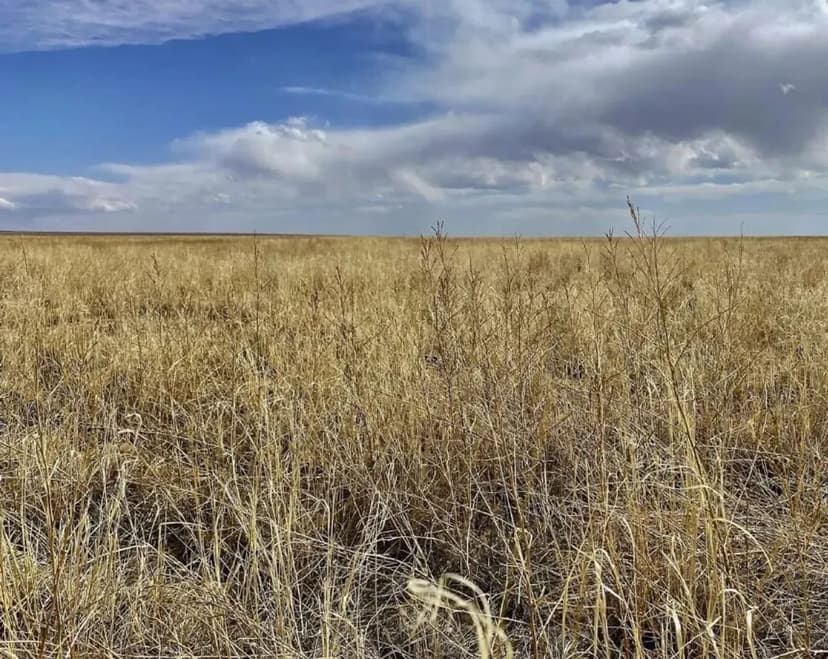 Grassland CRP Half Section with Paved Highway Frontage