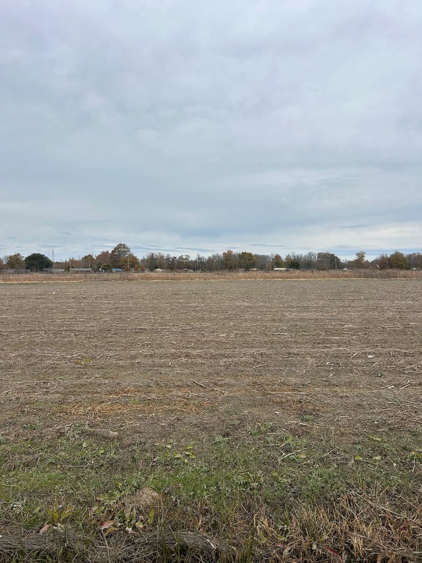 29.4 Acres in Leflore County, MS