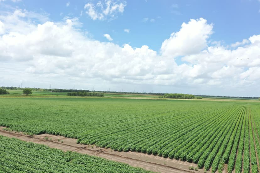 000 FM 361 Road - 30.229 Acs Richmond 77469