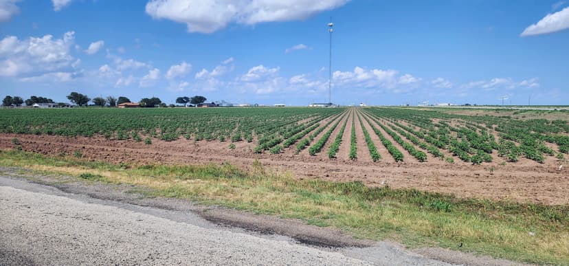 15 Acres of Farmland/Commercial land in Wall Tx