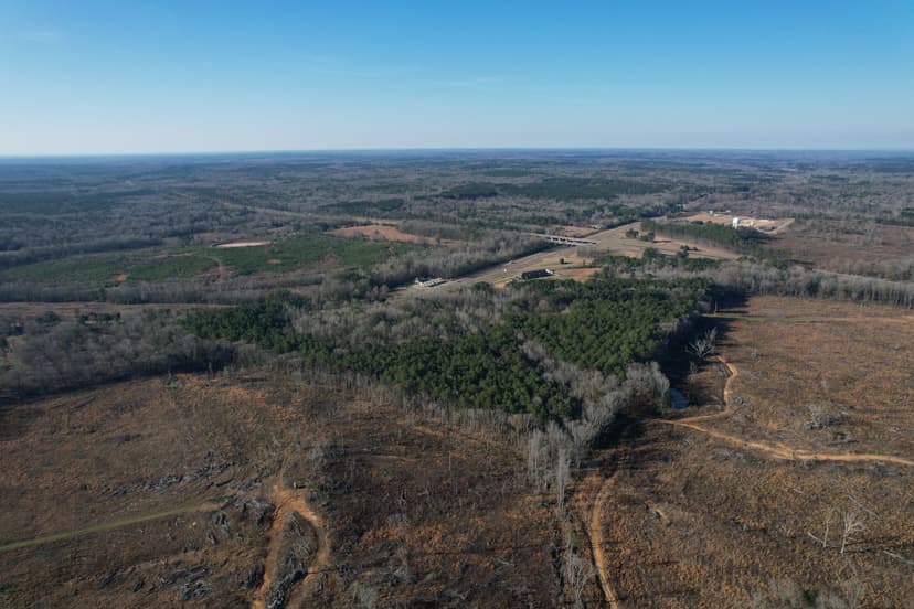 71 Acres in Holmes County, MS