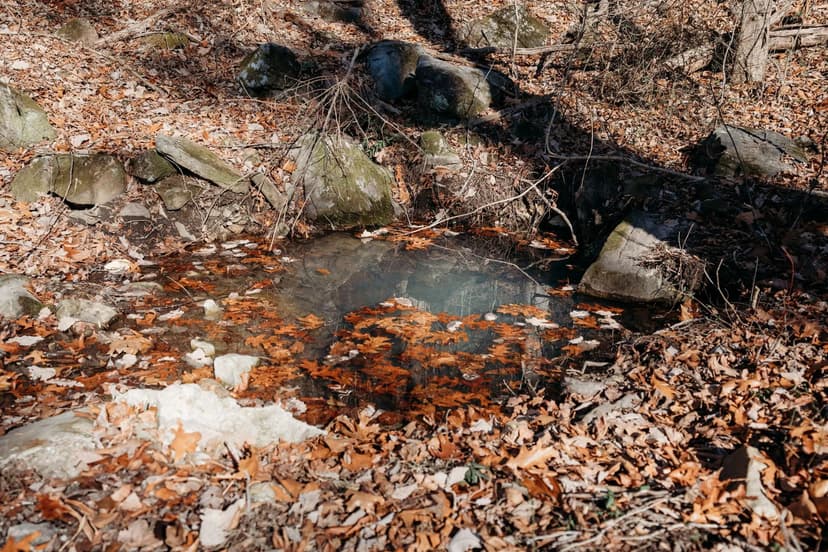 27 Acres in Hamilton County, TN 