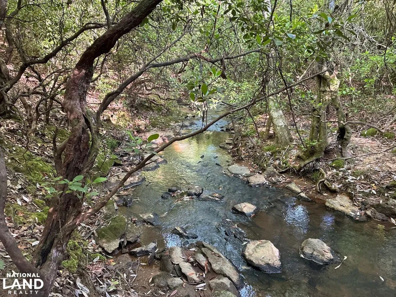Creek Road Lot 4 - Ashland, Alabama, 36251