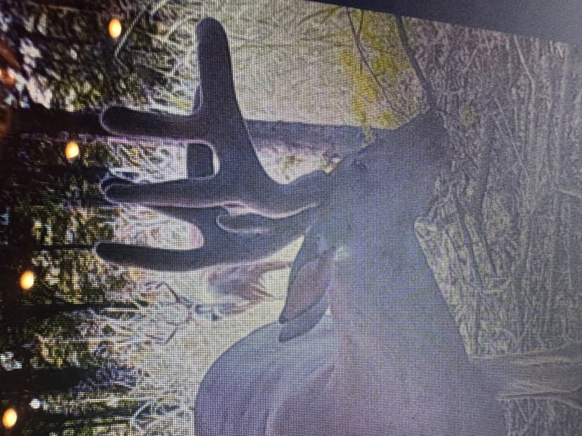 LA - Tensas 1196 acres +/-