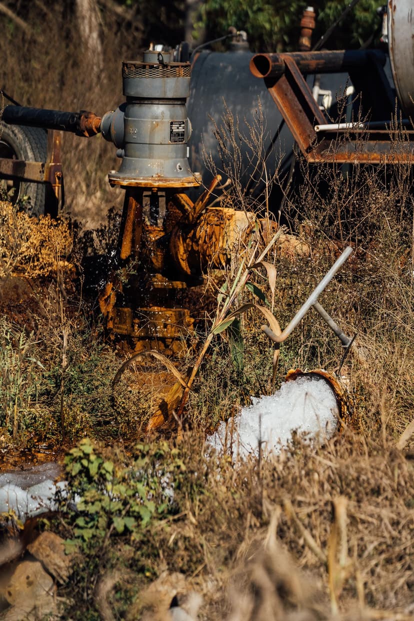 One Equity Share at Magna Vista, LLC in Issaquena County, MS